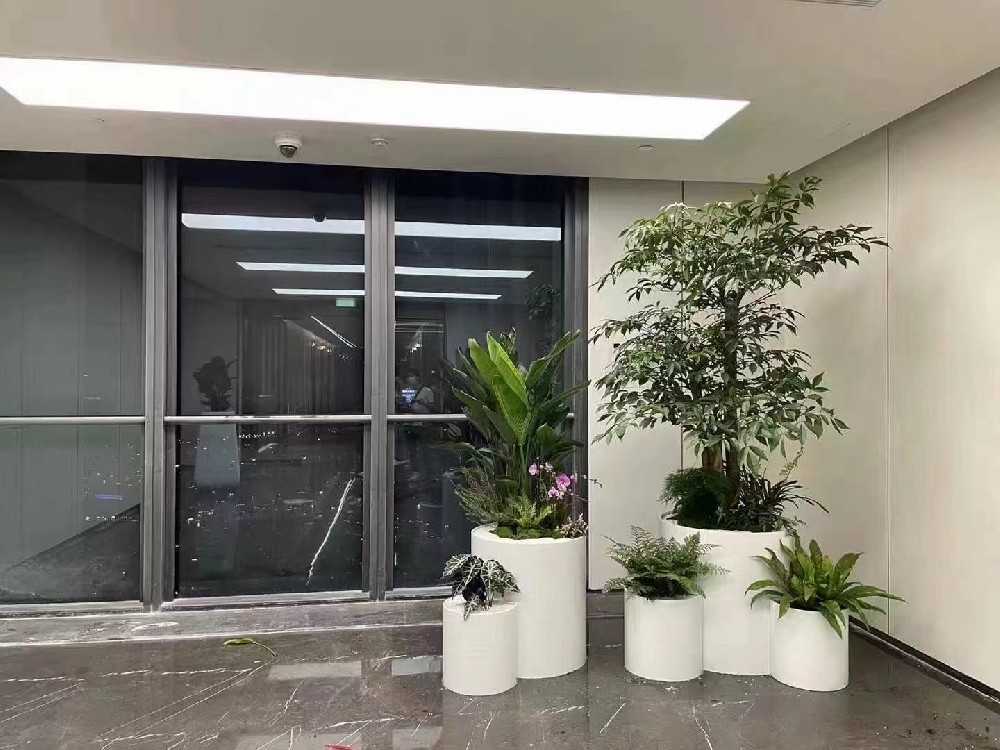 蘇州綠化養護：打造美麗宜居城市的綠色守護