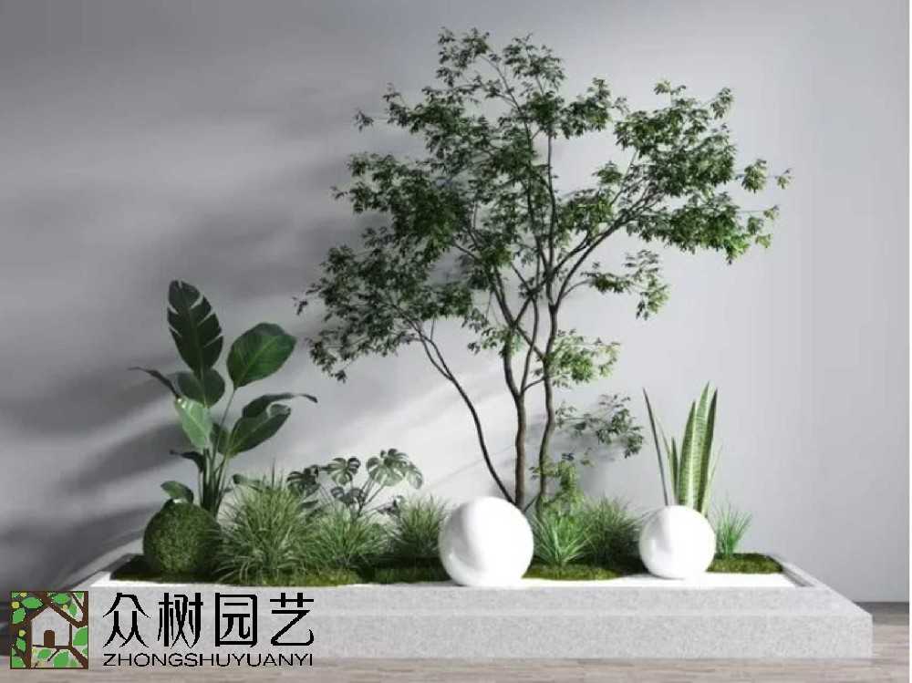 蘇州綠植租賃怎么選？一文帶你避坑