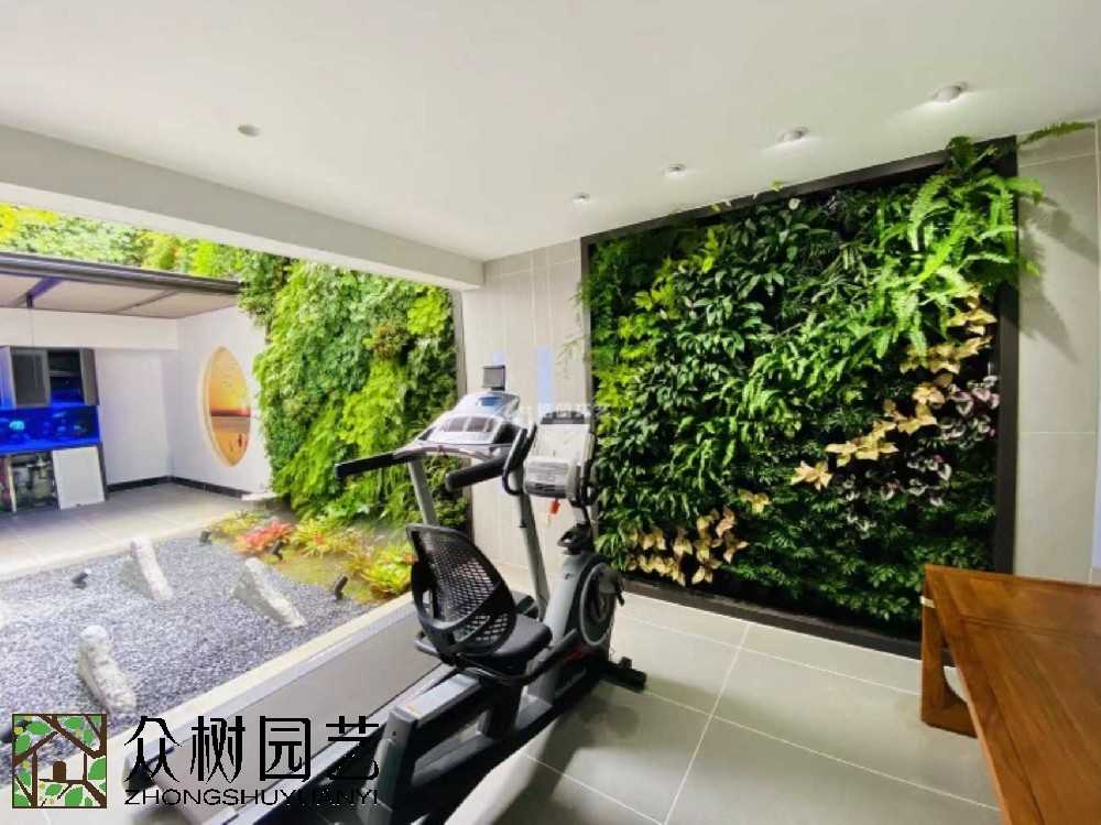 蘇州綠植租賃新風尚：打造辦公室綠色生態，讓工作更舒心！