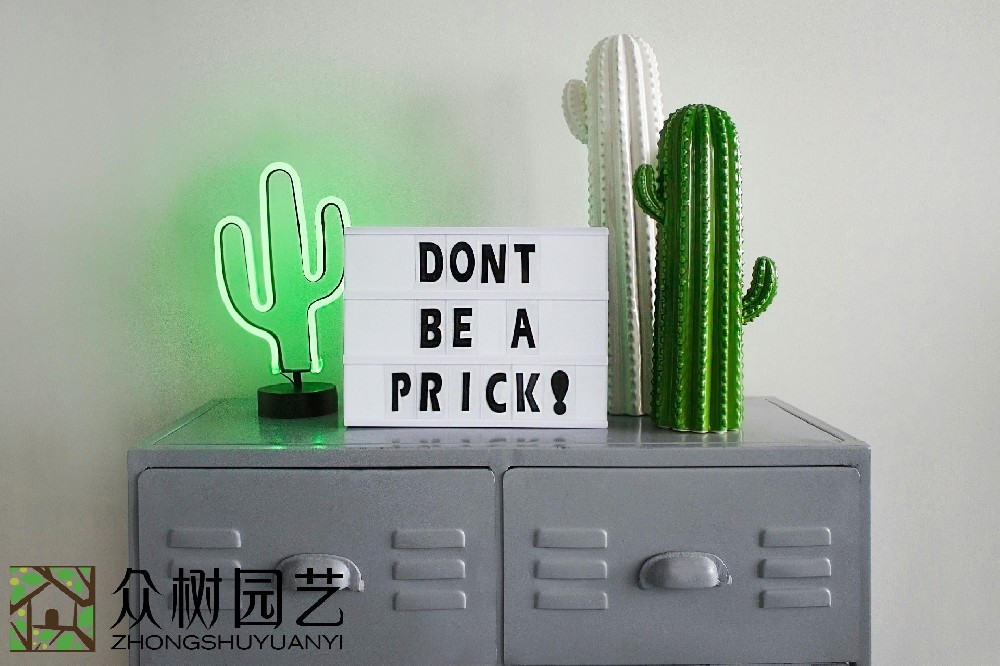 蘇州辦公室綠植租擺費用詳解：挑選最優質、最劃算的環境美化方案