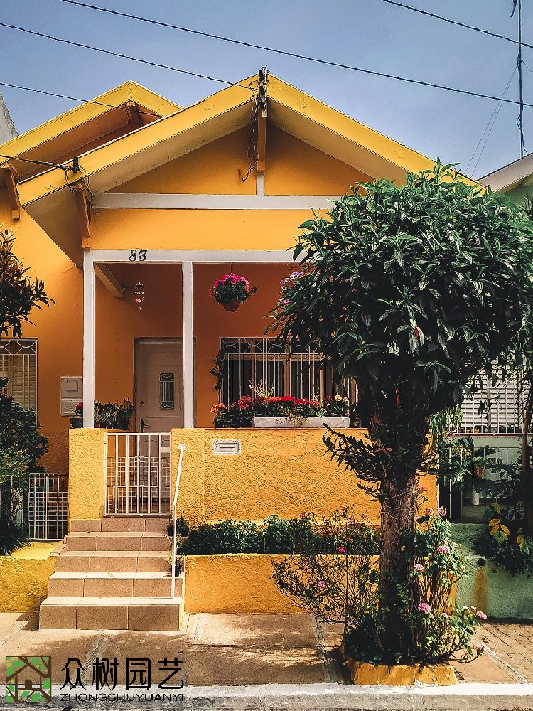 蘇州綠植租賃花卉租擺：打造生態辦公空間的首選之道