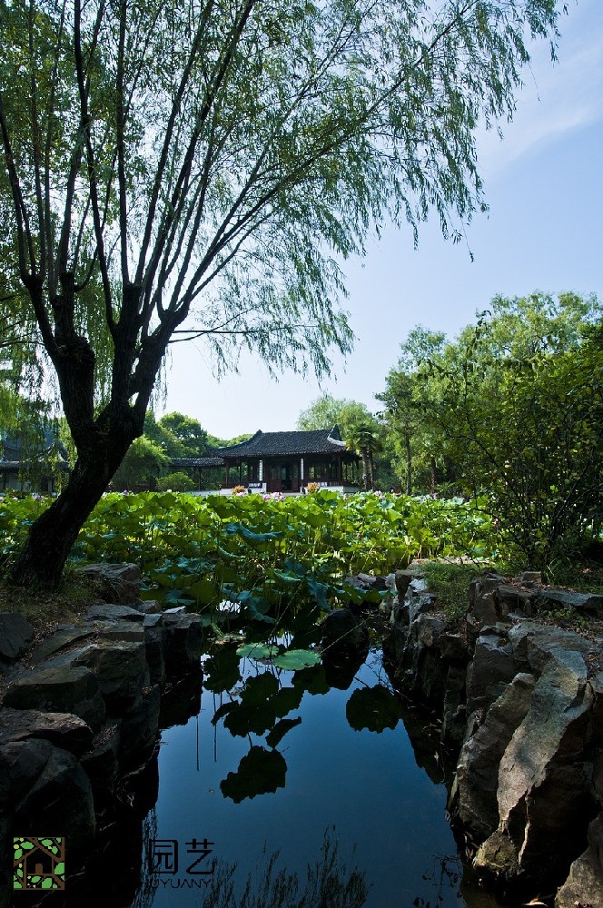 蘇州圖書館綠植租擺價錢解讀：打造生態(tài)舒適閱讀空間的秘密武器