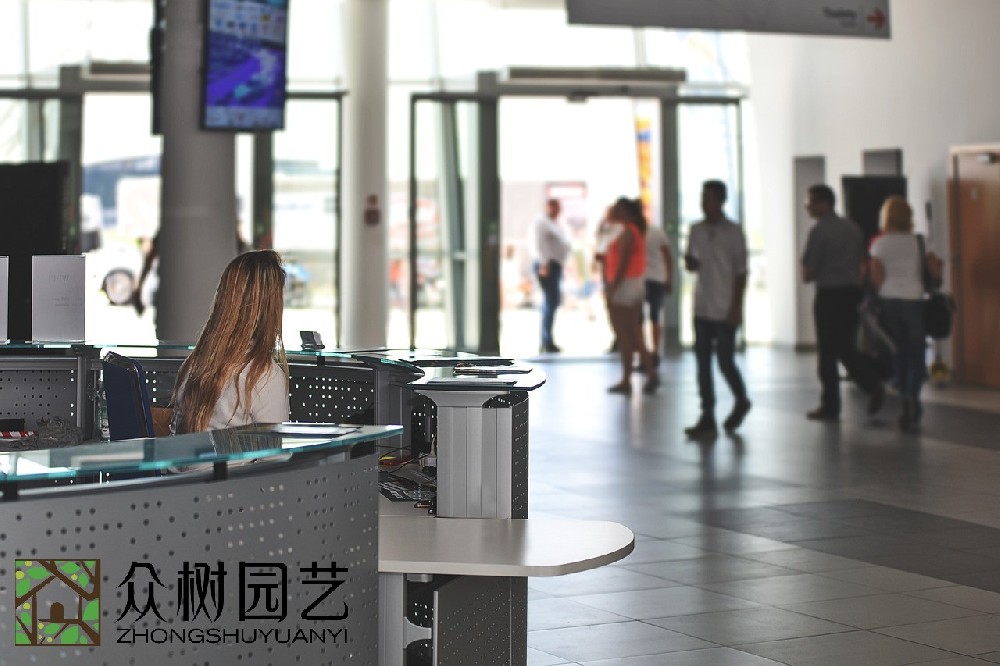 蘇州學校綠植租擺企業: 貫穿環保、健康與美學的教育新理念