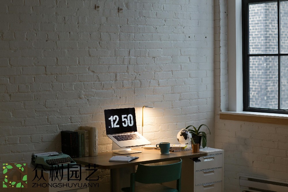 蘇州室內綠植租擺企業：您的綠色工作環境構筑專家