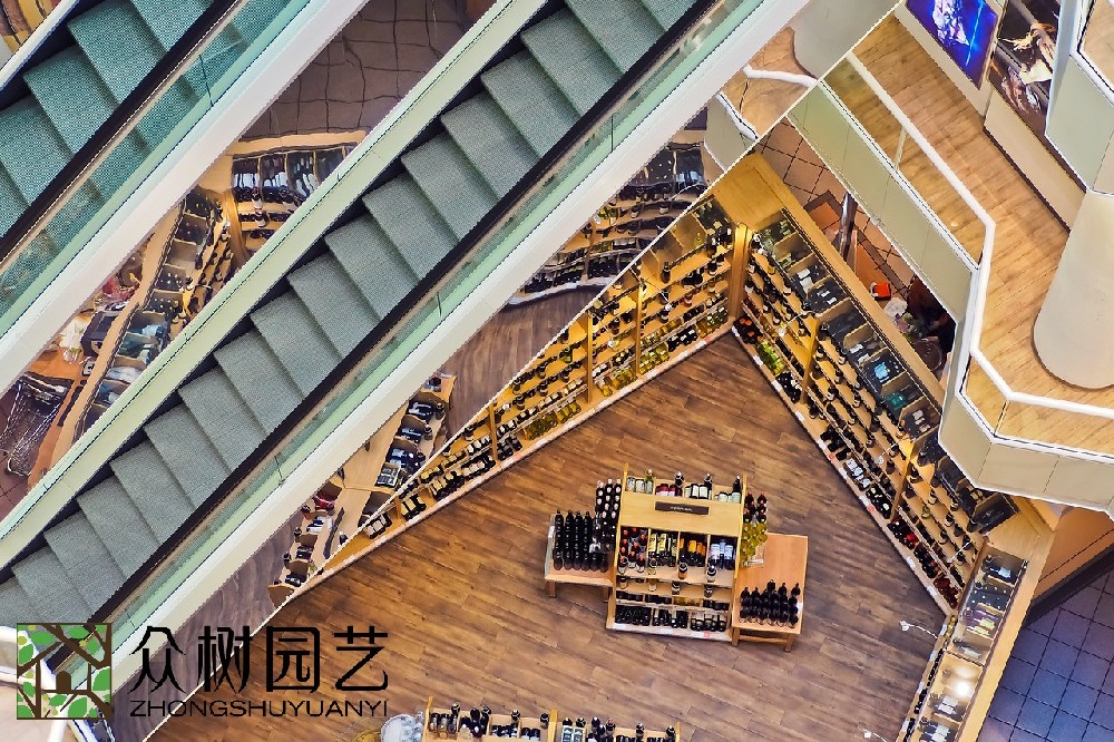 蘇州商場綠植租擺廠商：綠色美學的革命者，商場美學改變者